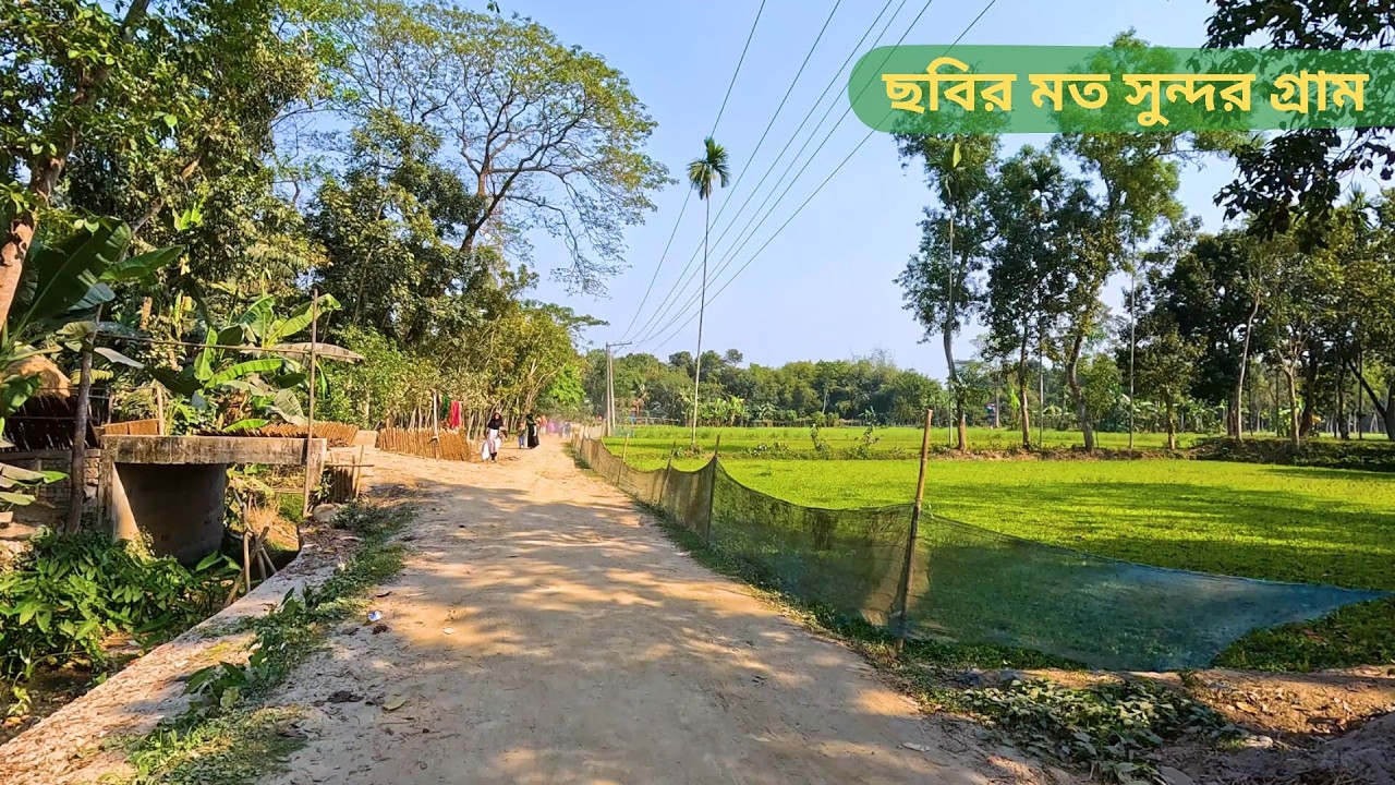 ছবির মতো সুন্দর গ্রাম | গ্রামবাংলার মনোমুগ্ধকর প্রকৃতি ও শান্ত জীবন