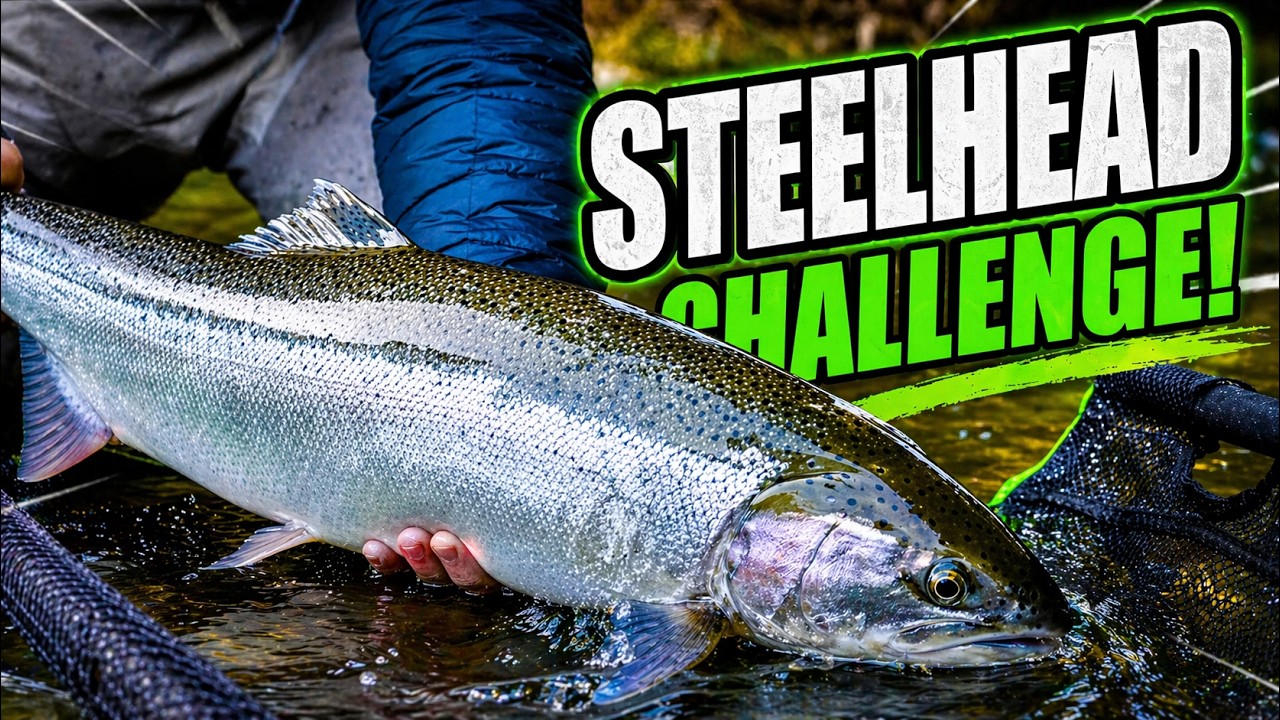 Beads vs Bait for Winter Steelhead&hellip; The Results Surprised Us