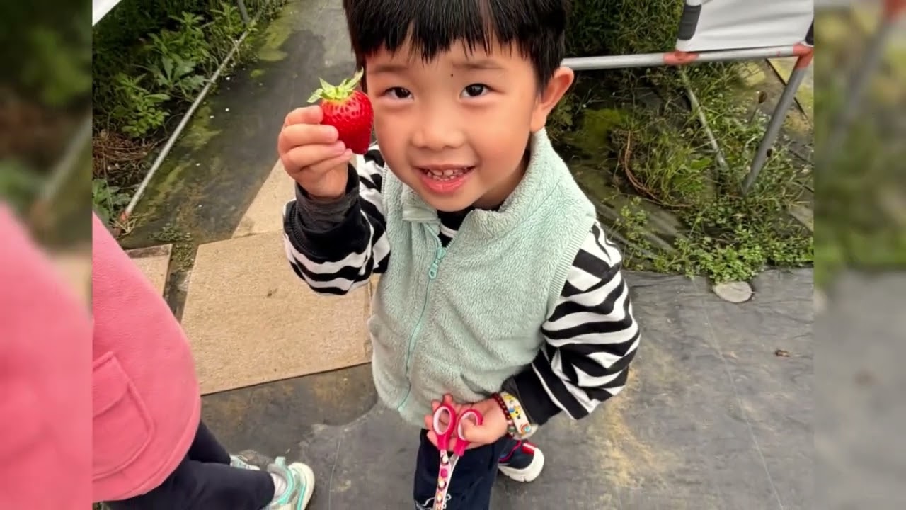 20260201 採草莓
