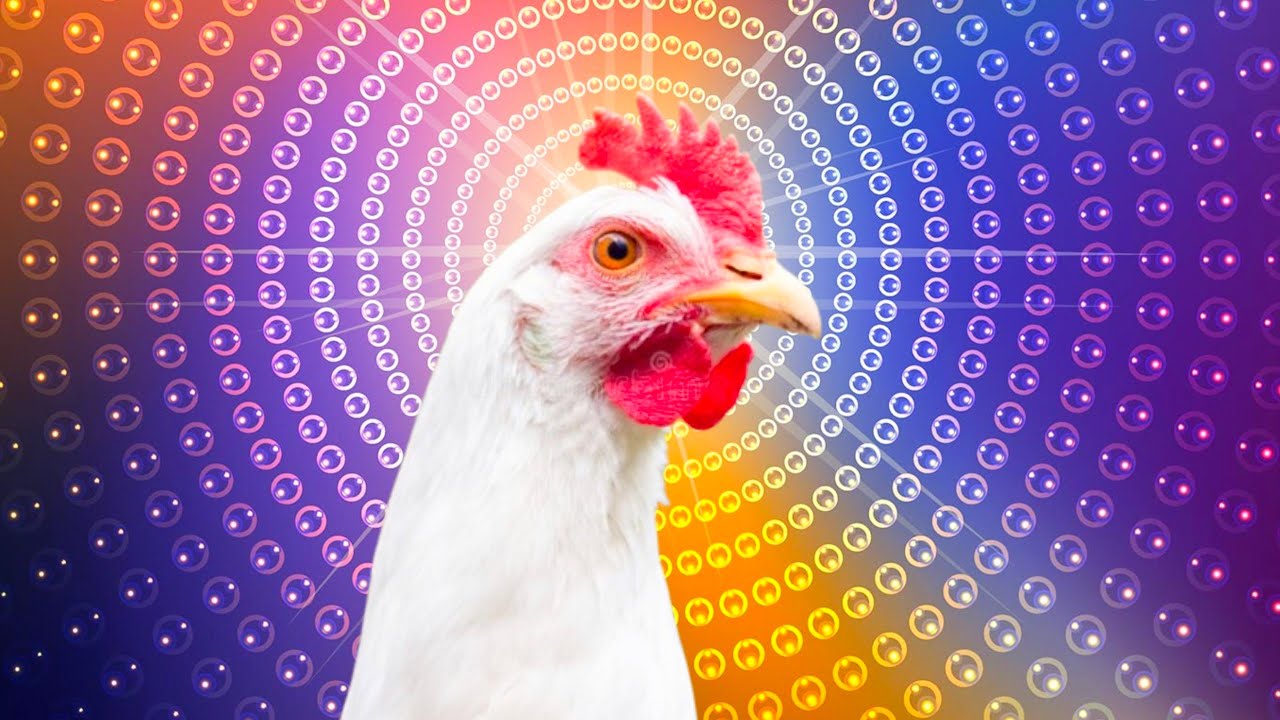 jeco chicken song & chicken dance | sweet remix | j.geco