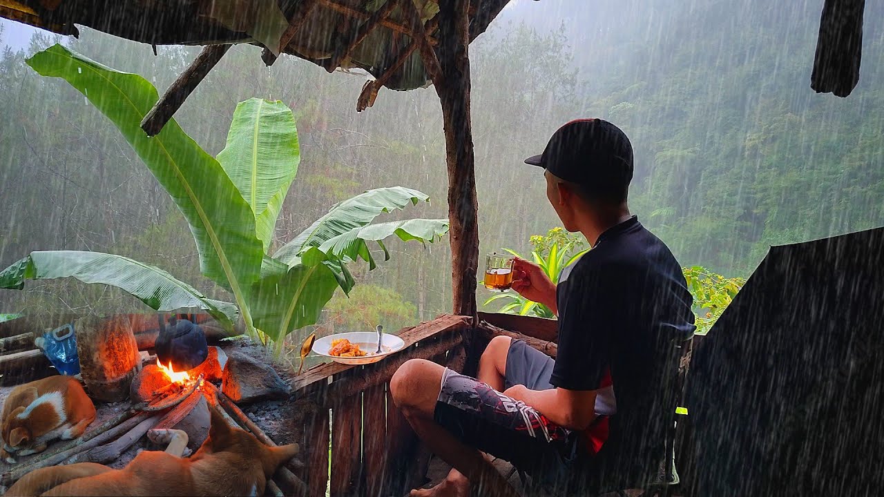 Suasana Sangat Gelap Hujan Deras Tiada Henti Mengguyur Pondok Hutan - Tinggal Dihutan dan Berkebun