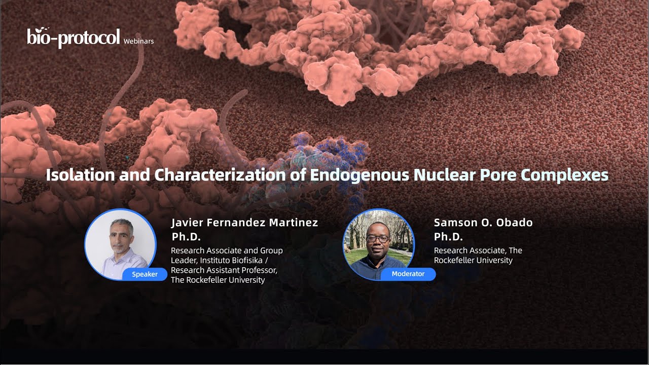 Isolation and Characterization of Endogenous Nuclear Pore Complexes