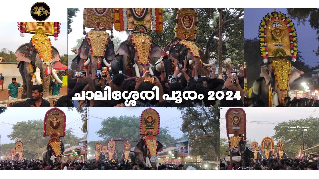 മൂന്ന് ജില്ലകളുടെ സംഗമ വേദിയായി ചാലിശ്ശേരി പൂരം| Chalissery pooram 2024 #pooram #aana #2024