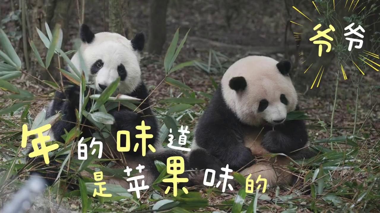 花叶: 爷爷辛苦了! 年的味道是苹果味的🍎🧧爷爷: 花花，要过年了, 天天都漂漂亮亮的~祝大家新春快乐! 万事如意!🧨最好的谭花叶都健康平安快乐🥰