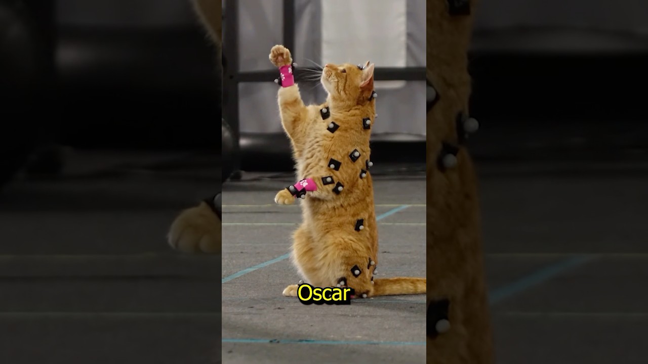 Did you know in Stray motion capture gets used on animals #stray #straycat #movies #film #mocap