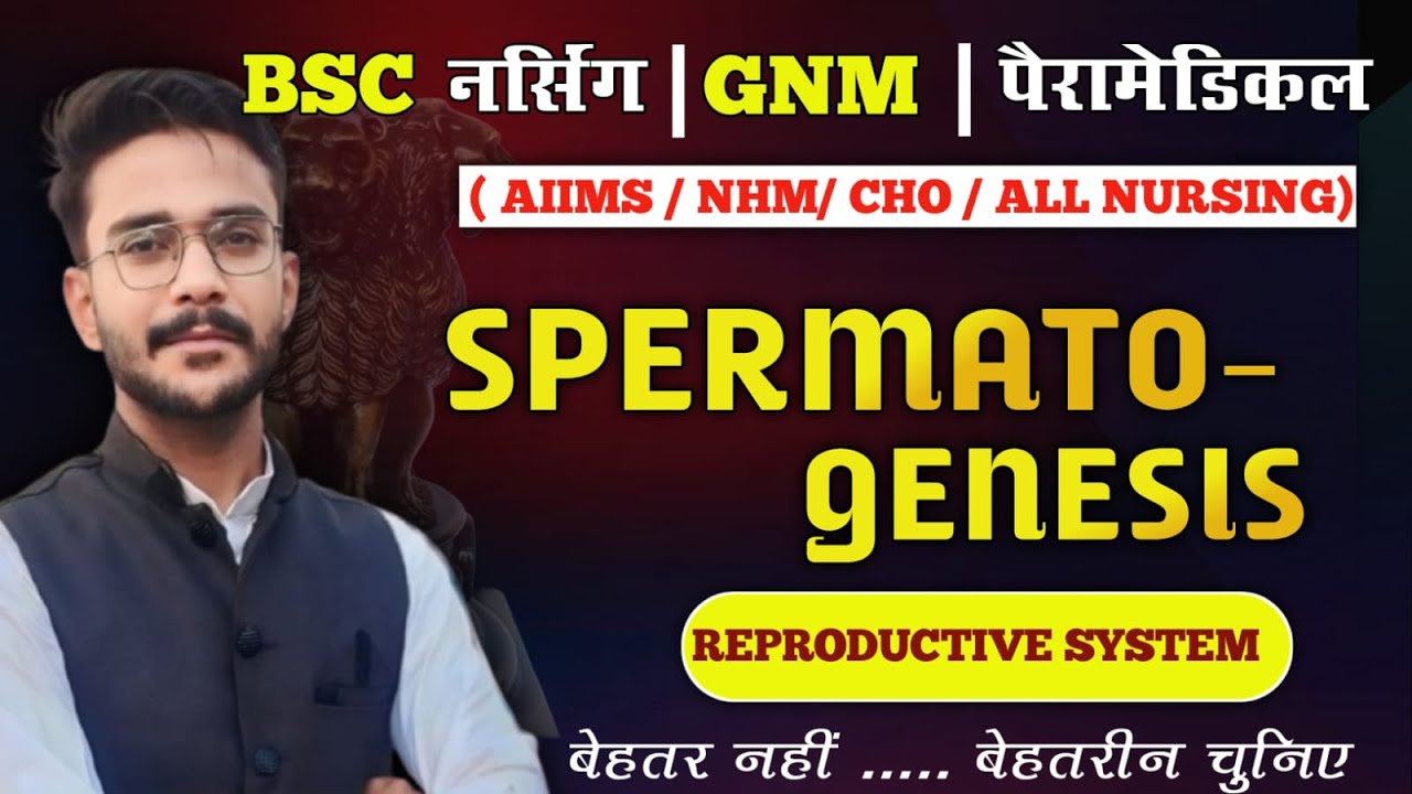 spermetogenesis :the reproductive system /sb nursing classes/ ANATOMY AND PHYSIOLOGY /GIONAPS