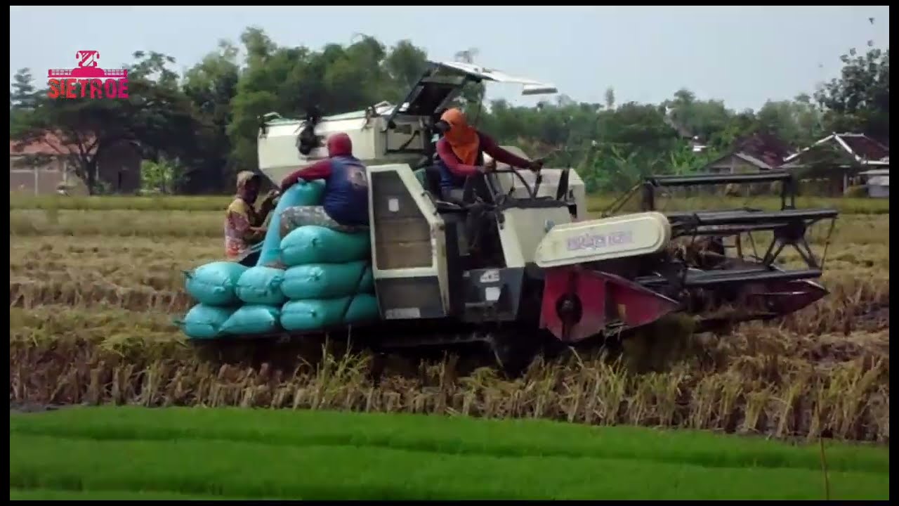 Maxxi bimo 102 combine harvester‼️ #alatmodern #alatpertanian #maxxibimo102 #maxxibimo #fyp
