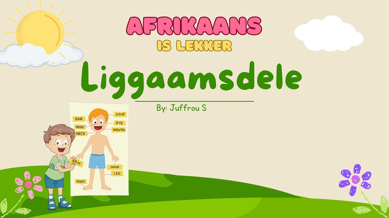 Liggaamsdele (bodyparts) in Afrikaans