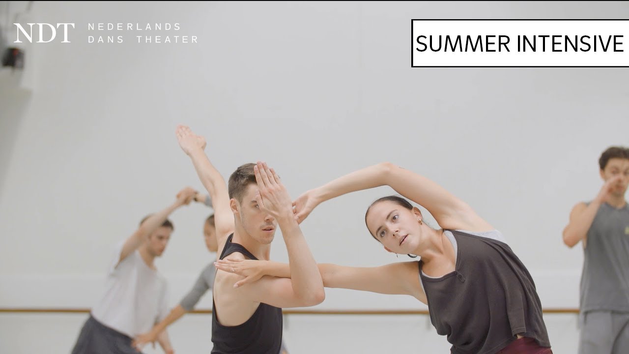 NDT Summer Intensive 2019 - interview participants