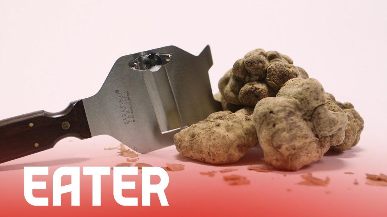 Why Chefs are Obsessed with White Truffles, the Cocaine of the Dining World
