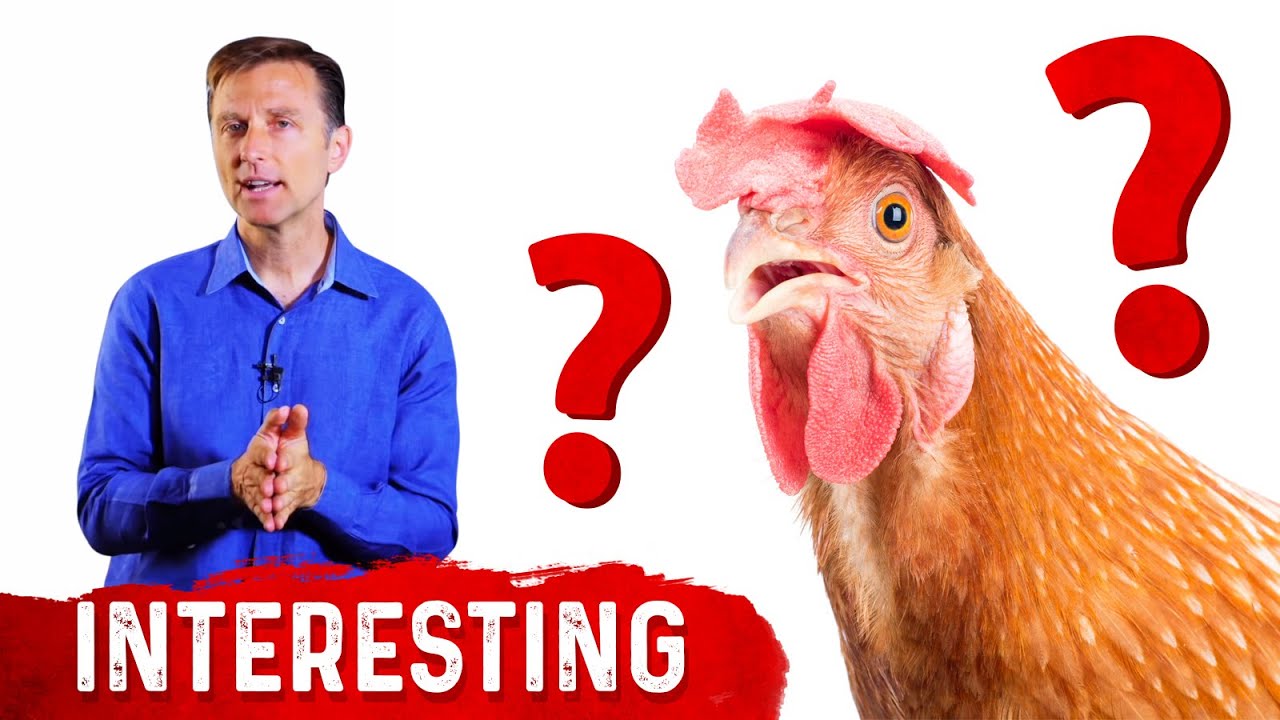 Why Don't Chickens that Eat Ticks Get Lyme Disease