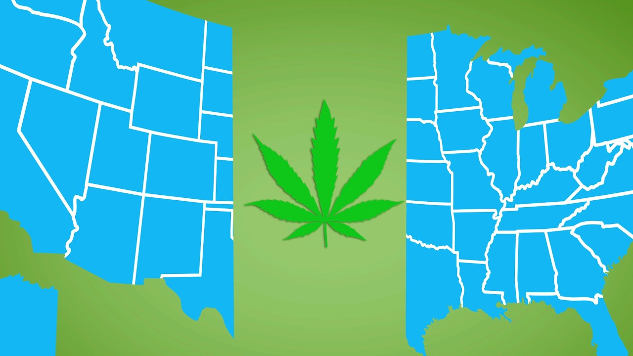 What Happens When a Cannabis Business Needs a Bank?