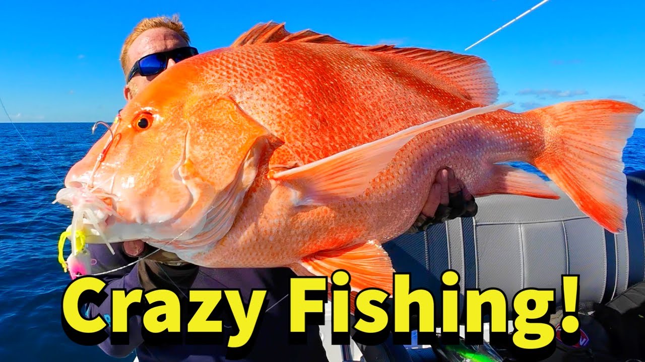Amazing Bottom Fishing on the Great Barrier Reef!