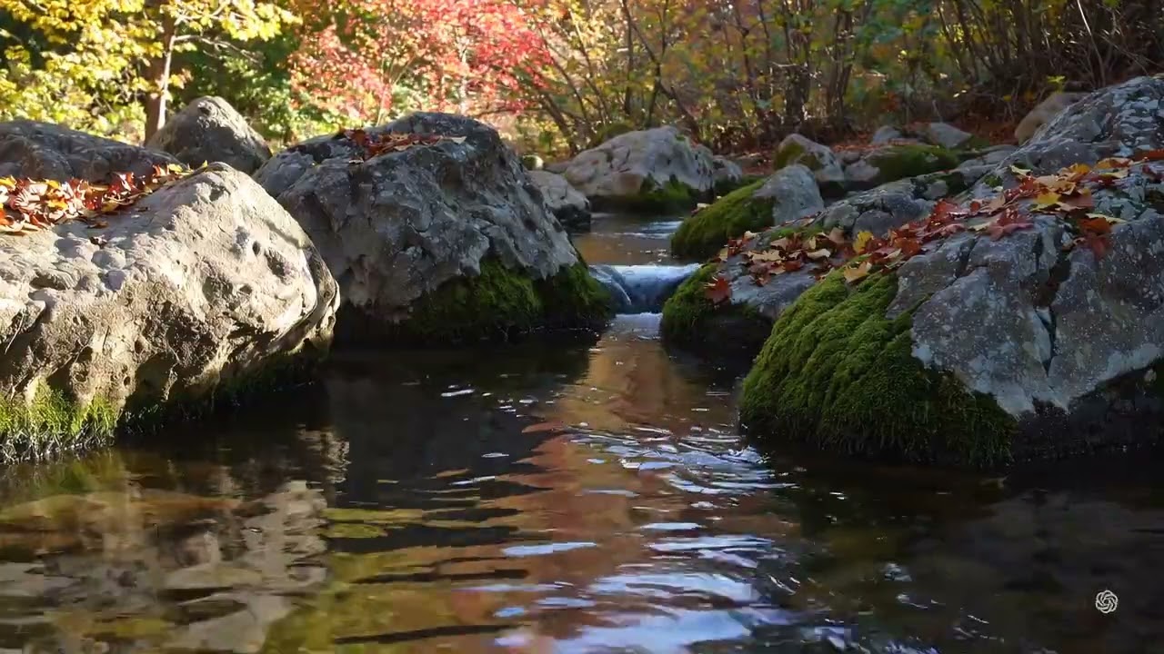 Calming Piano Music for Inner Peace + Relaxing Water Sounds