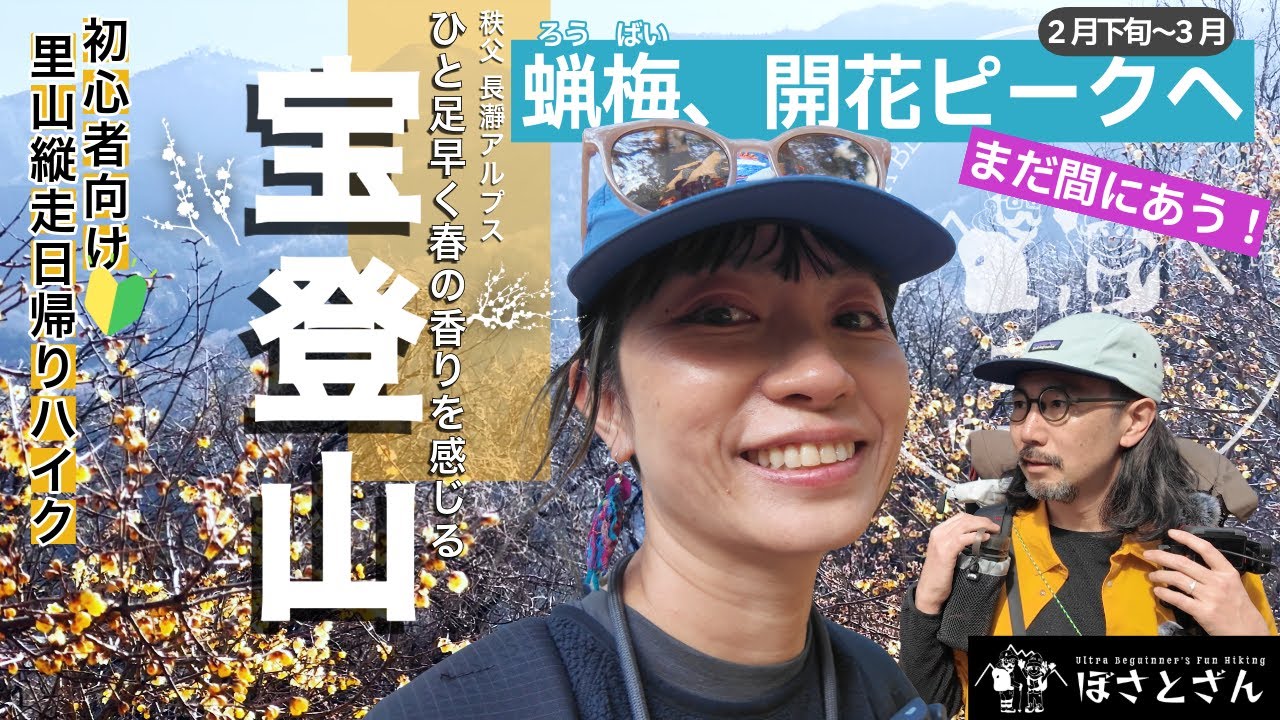 [4K] 宝登山｜蝋梅香る長瀞アルプス　明るい尾根道が導く里山縦走ゆる山旅。低山とは思えない秩父の稜線の先に広がる、旅情あふれる長瀞の町並みをゆく