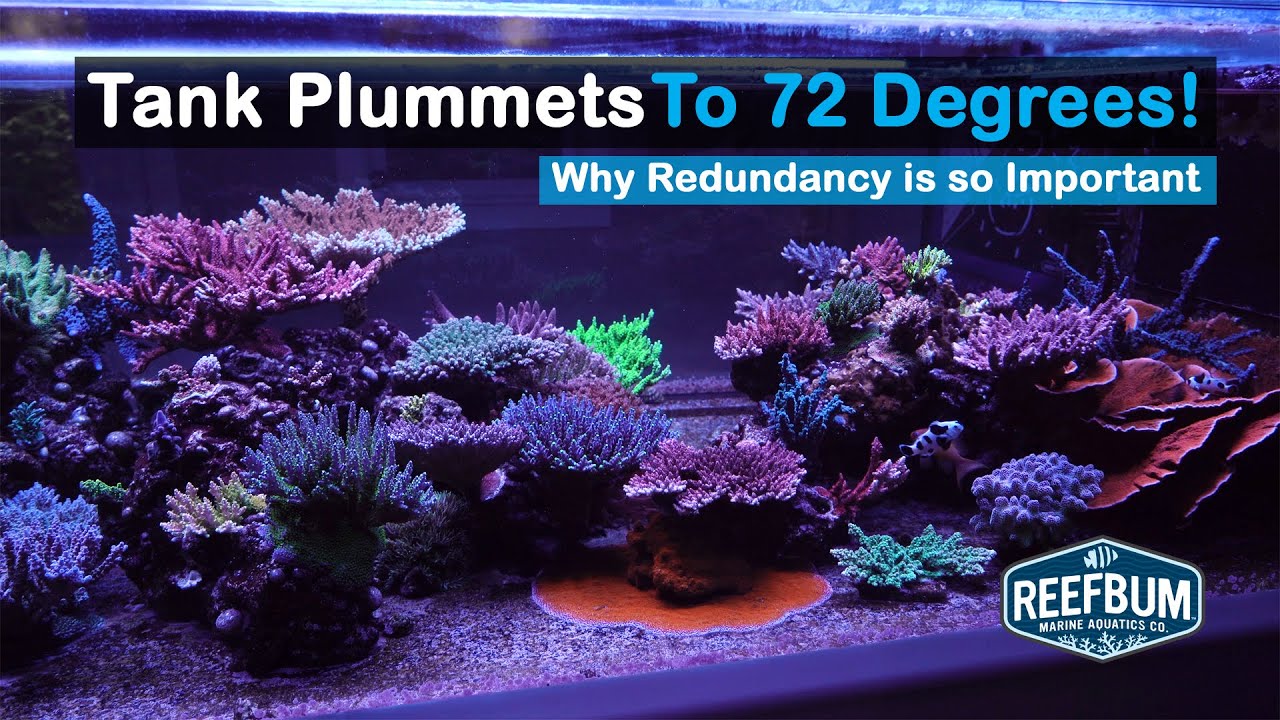 Tank Plummets to 72! Why Redundancy is So Important