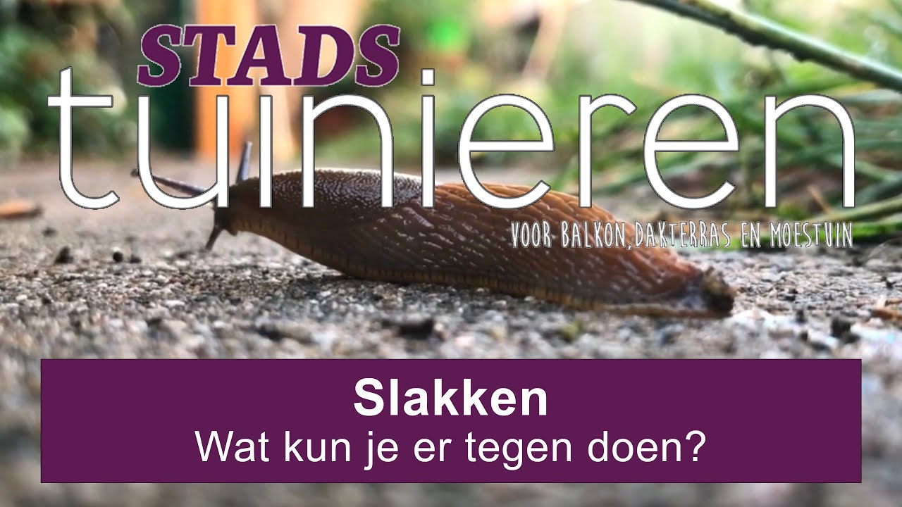 Stadstuinieren - Help! Slakken in de moestuin. #moestuin