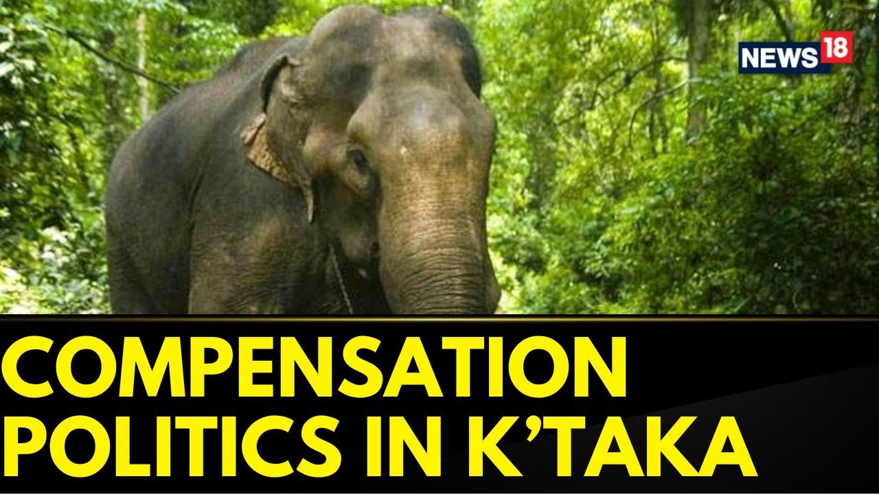 Karnataka Govt To Pay Compensation To Kerala Man Killed By Elephant Captured In State | News18