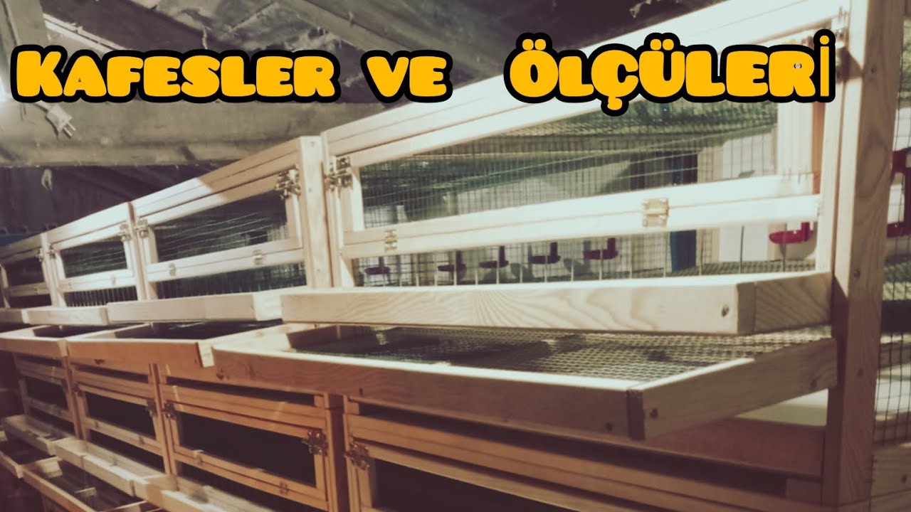 ÇOK BEKLENEN KAFES TANITIM VİDEOSU -/ KAFESLERİN ÖLÇÜSÜ VE KAPASİTESİ