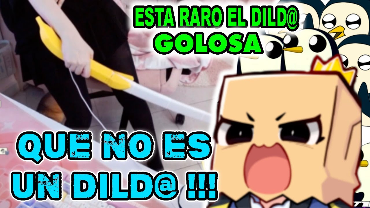 EL CHAT CONFUNDE EL JUGUETE DE TOKO