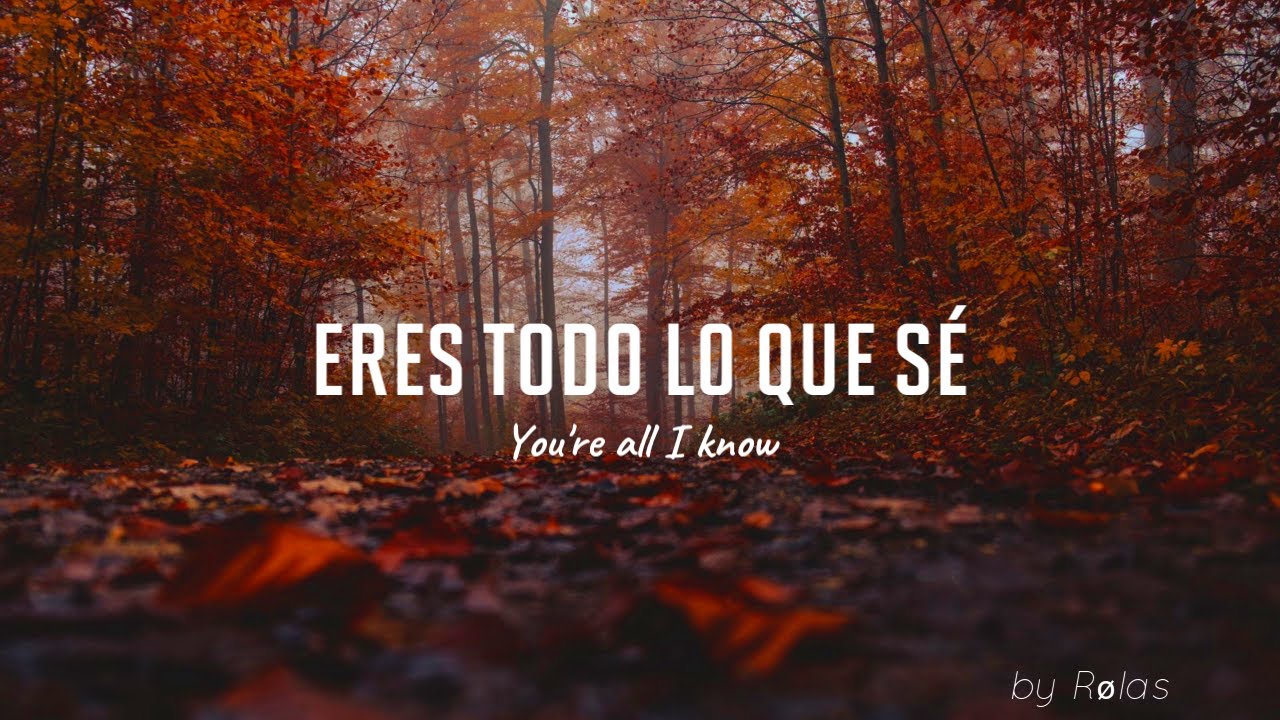 Imagine Dragons - The Fall (sub.español + lyrics)