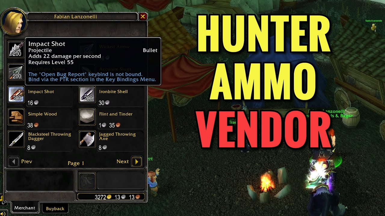 Allerian Stronghold Hunter Ammo Vendor (WoW TBC)