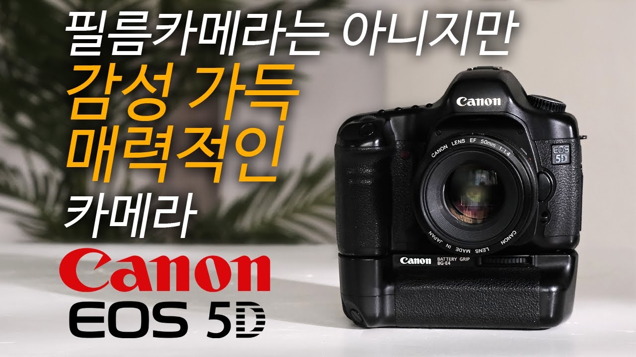 필름카메라는 아니지만 매력적인 감성카메라 Canon EOS 5D