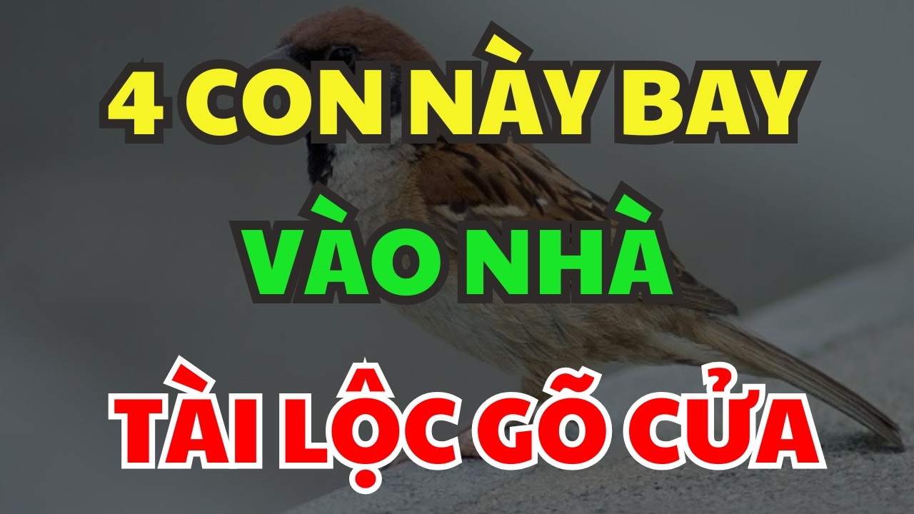 4 Con Này Đột Nhiên Bay Vào Nhà, Là Điềm Báo Sắp Có Lộc Tiền, Đừng Vội Xua Đuổi