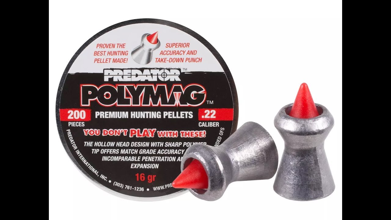 RE-TEST! Predator Polymag .22 16gr