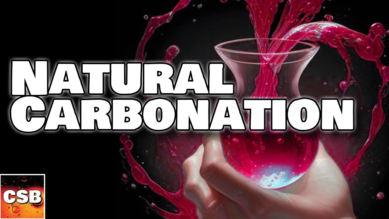 Natural Carbonation Explained (Carbonating Mead, Wine, Cider and Beer)