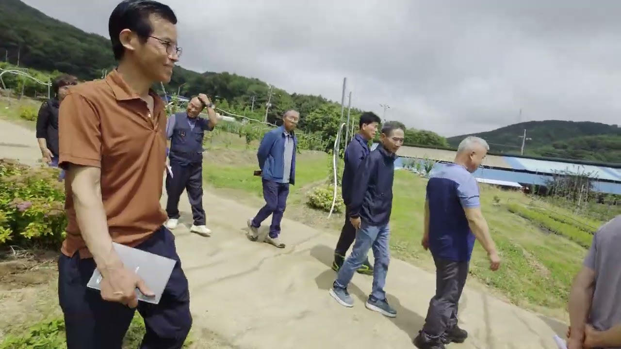 만금농원 체리농장 방문 체험편(게으름뱅이농장)