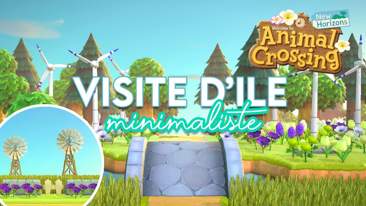 VISITE D'ÎLE CAMPAGNE, SIMPLE & MINIMALISTE 🌼 - ANIMAL CROSSING NEW HORIZONS