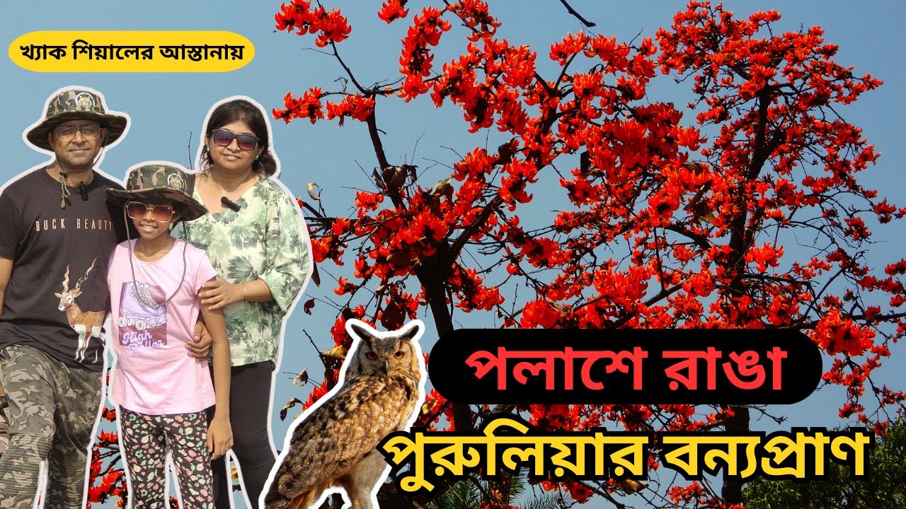 পলাশে রাঙা পুরুলিয়ার বন্যপ্রাণ I Birds Of Purulia I Gajaburu Purulia I Weekend Tour From Kolkata