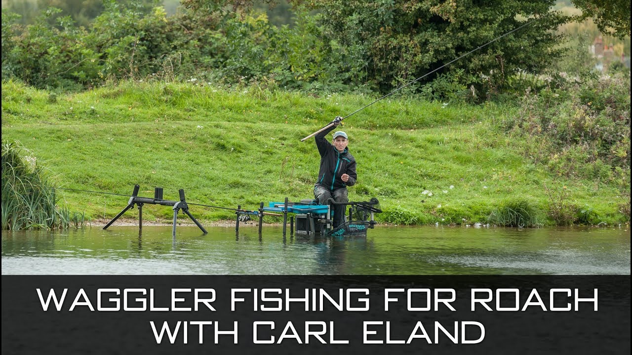 Waggler Fishing For Roach - with Carl Eland