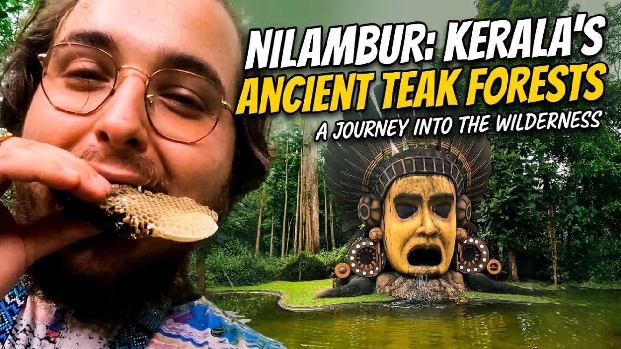 Wild Honey & Teak Museum: The Magic of Nilambur
