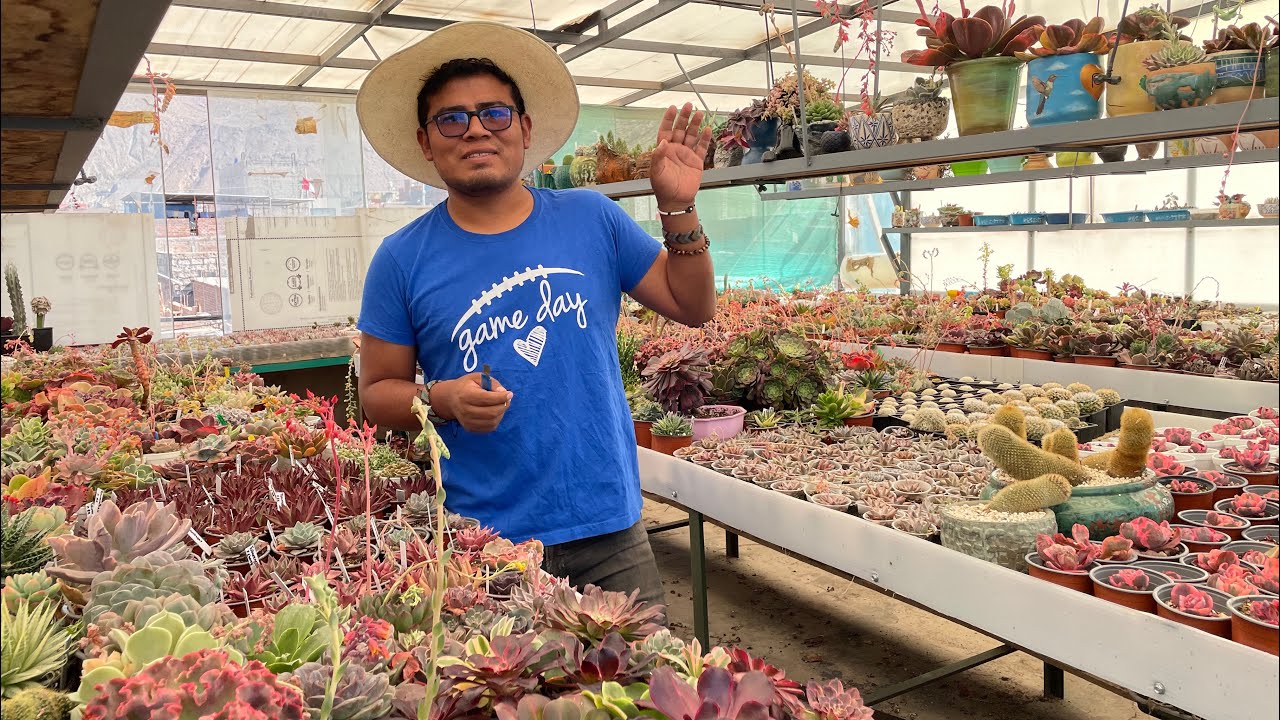 En el vivero de Guillermo Cutipa Arequipa 🇵🇪 