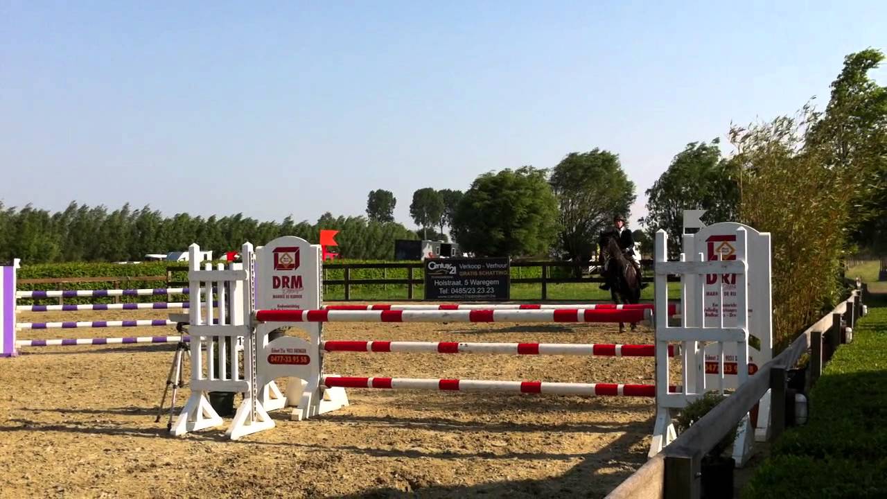 Witness(caesar van de helle x landino) 110