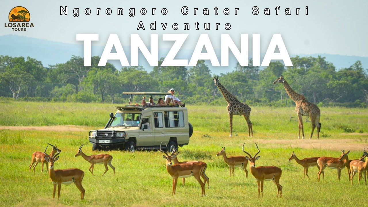 Ngorongoro Crater Safari Adventure | Losarea Tours Episode 1 – Wildlife, Nature & Travel Tanzania