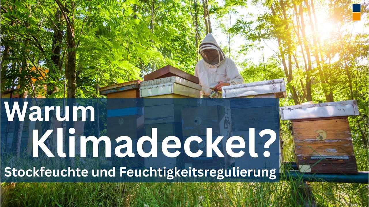 Wärme und Klimamanagement in Bienenbeuten - Feuchtigkeitsregulierung und Klimadeckel - Folge 4