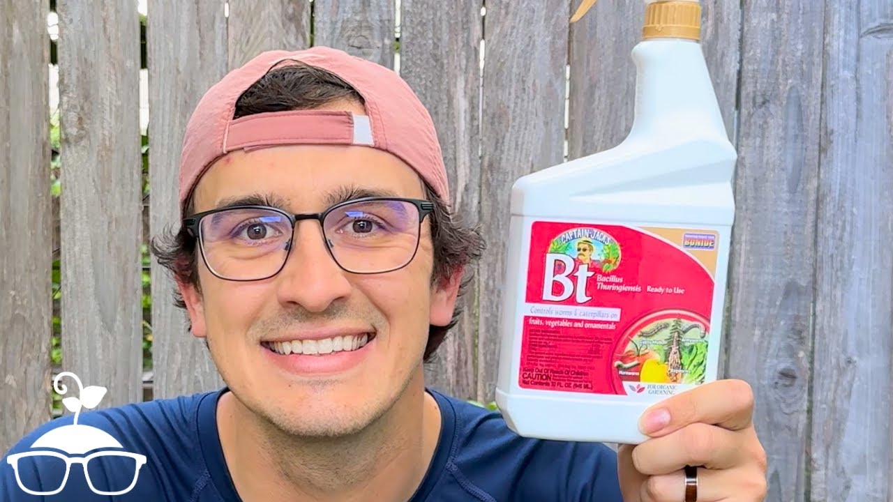 Bacillus thuringiensis (Bt) in 100 Seconds