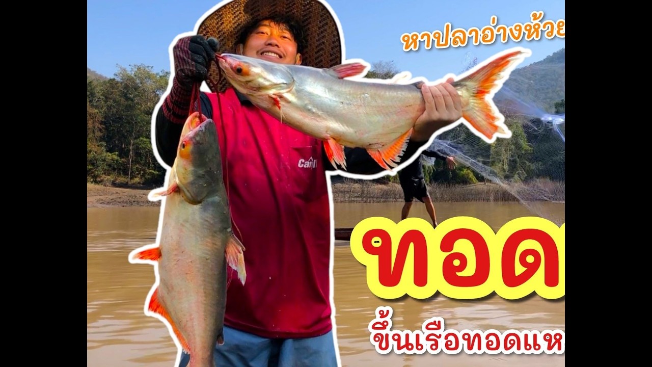 ดึงแห ลุ้นปลาบึก