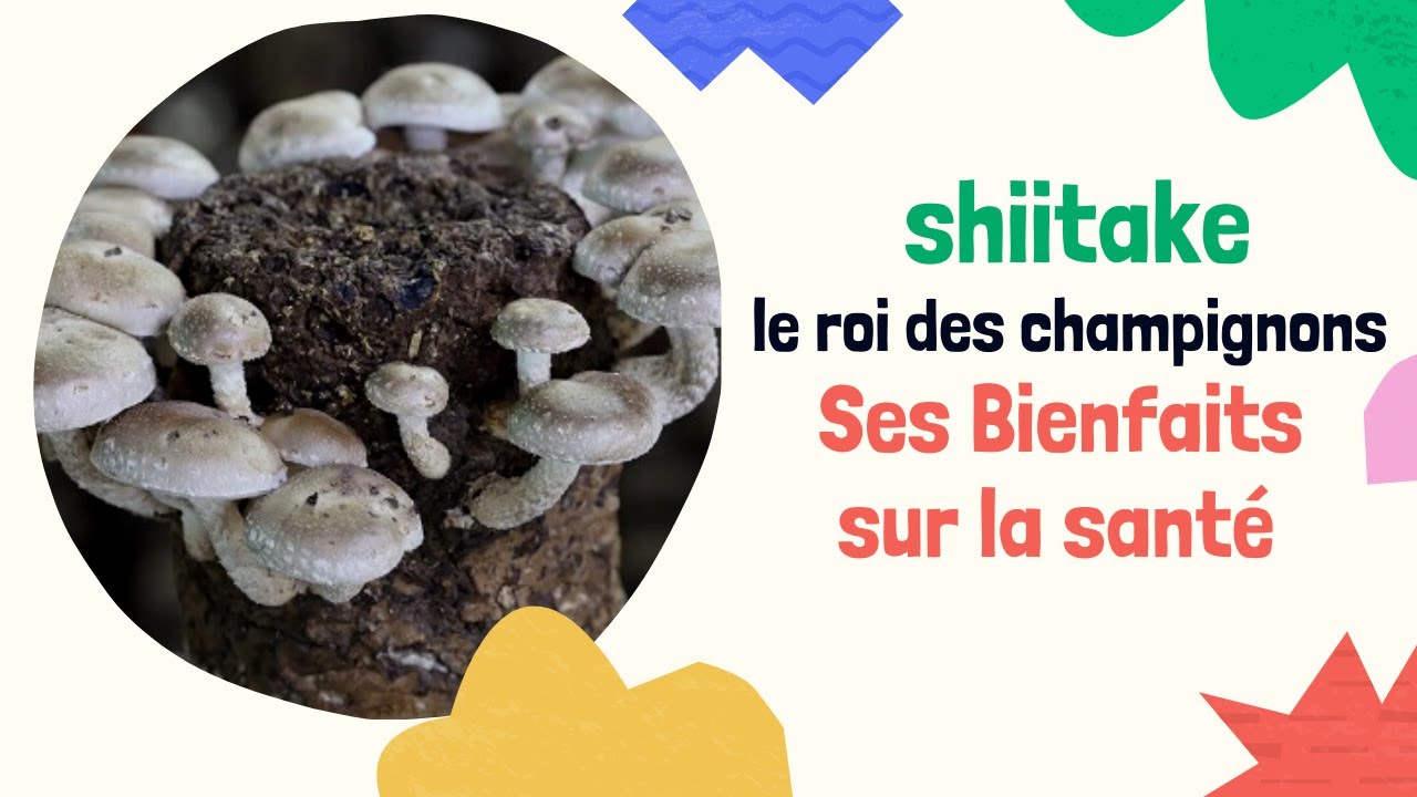 SHIITAKE 