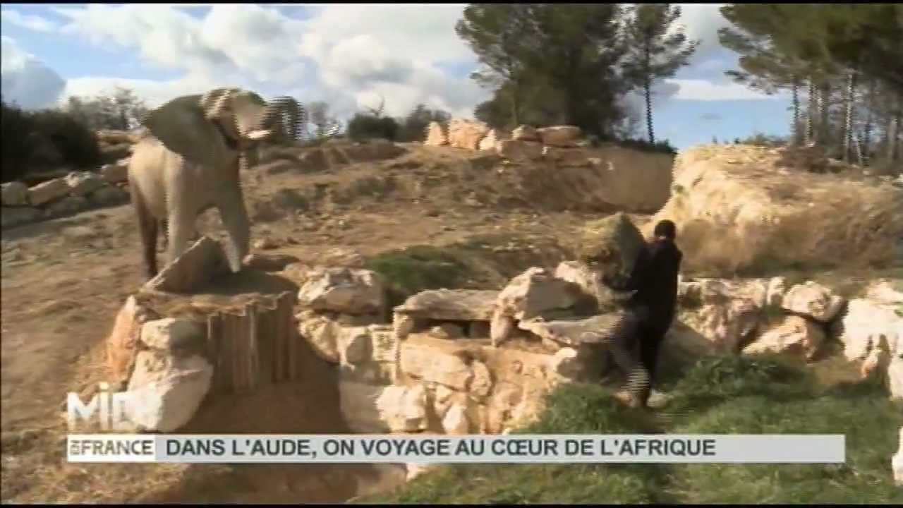 La Réserve Africaine de Sigean dans Midi en France de FR3