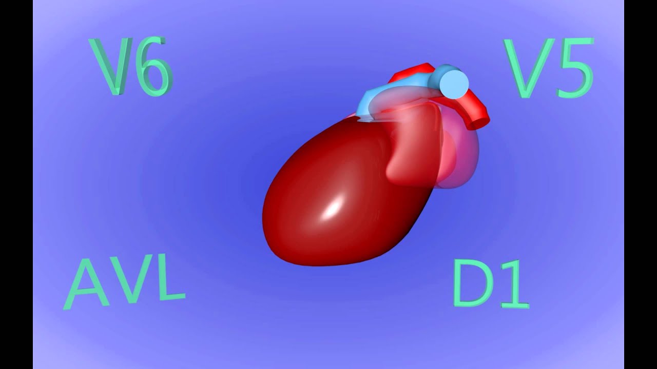 Territoires ECG