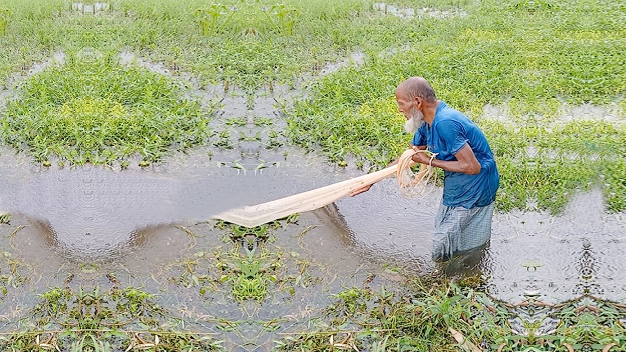Fishing in the Rainy Season we share Amazing Fishing Content - Best Net Fishing Video