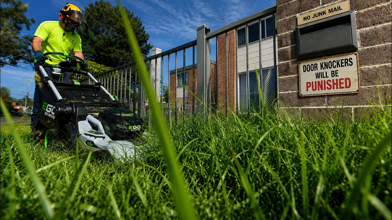 Overgrown Yard. No Talking. Just Real Work