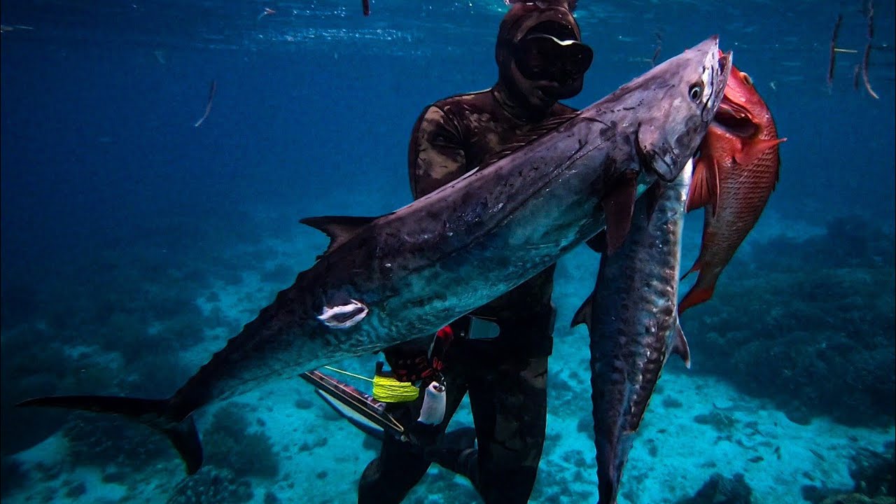 MONSTER MACKEREL! || INTENSE ACTION! SPEARFISHING PHILIPPINES!