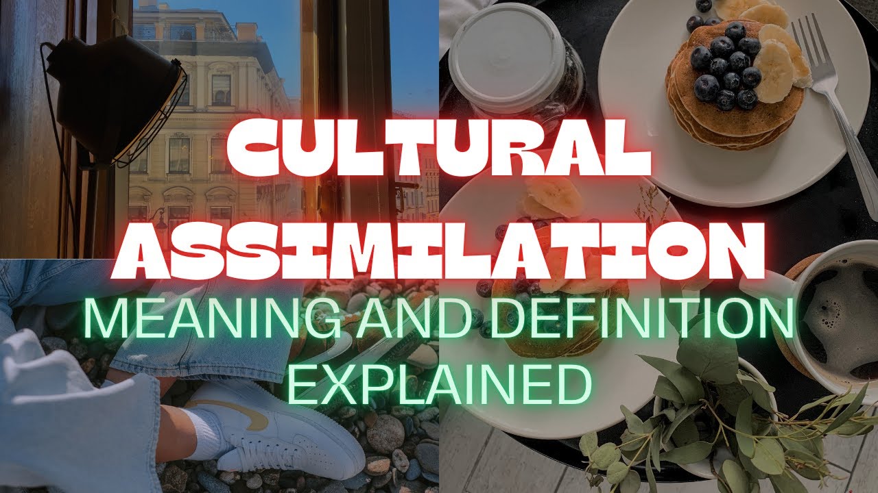 Cultural Assimilation (Meaning & Definition Explained)
