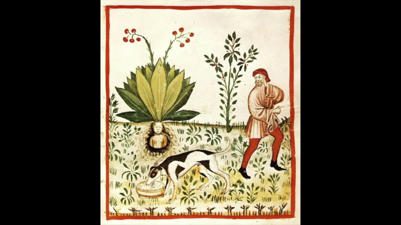 Edward Rushton: Le petit jardin