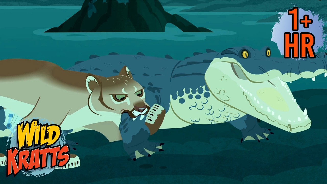 Florida Panther vs Alligator | Wild Kratts | Scholastic International